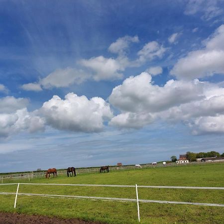 Hotel Braemar Equestrian, East Riding Of Yorkshire Burton Pidsea Exteriér fotografie