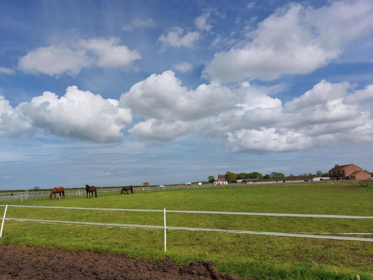 Hotel Braemar Equestrian, East Riding Of Yorkshire Burton Pidsea Exteriér fotografie