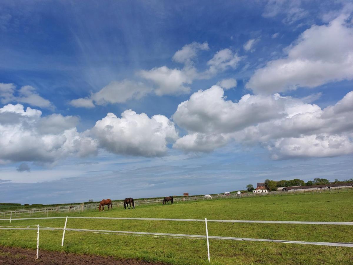 Hotel Braemar Equestrian, East Riding Of Yorkshire Burton Pidsea Exteriér fotografie